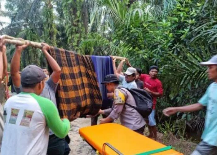 Warga Pasaman Barat Tewas Diterkam Buaya