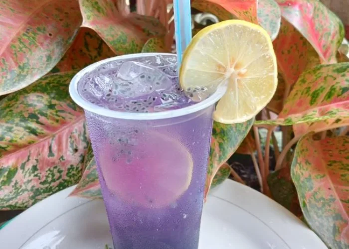 Doli Rifala Manfaatkan Tanaman Herbal Bunga Telang Jadi Kuliner Prospektif