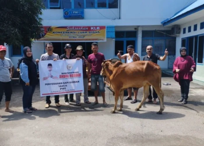 Andre Rosiade Serahkan Sapi Kurban untuk PWI Sumbar