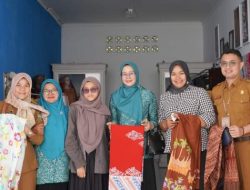 Pj Ketua Dekranasda Lakukan Pembinaan ke Sejumlah Perajin