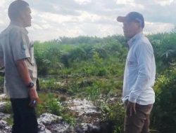 Soal Penyerobotan dan Alih Fungsi Lahan PT SKR di Kalbar, DR Yusuf Halim: Merusak Lingkungan