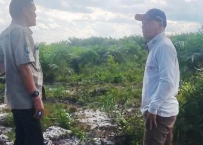 Soal Penyerobotan dan Alih Fungsi Lahan PT SKR di Kalbar, DR Yusuf Halim: Merusak Lingkungan