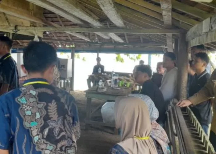 Tim SuMon Bawaslu RI Tinjau PSU DPD di TPS 3 Pulau Kapo Kapo Sungai Nyalo Tarusan
