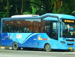 Manjakan Penumpang di HJK Padang ke-355, Naik Trans Padang Hanya Bayar 1 Rupiah