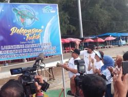 Peluncuran Penyu Sebagai Maskot Kota Padang, 355 Tukik Dilepas di Pantai Air Manis