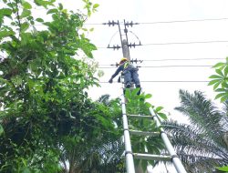 Tingkatkan Kehandalan Jaringan Telekomunikasi, PLN Icon Plus Lakukan Pemeliharaan Rutin di Lipat Kain