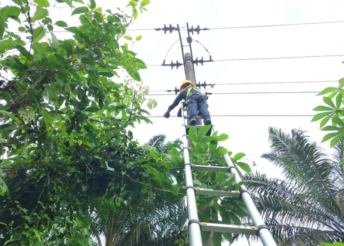 Tingkatkan Kehandalan Jaringan Telekomunikasi, PLN Icon Plus Lakukan Pemeliharaan Rutin di Lipat Kain