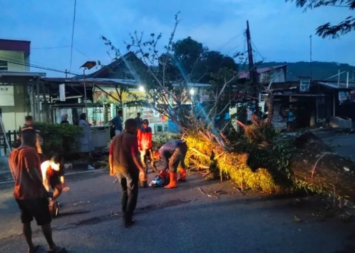 Pohon Tumbang Hambat Akses Jalan dan Timpa Jaringan Kabel Telepon di Kampung Pondok