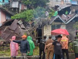 Pohon Tumbang di Batang Arau Timbulkan Kerugian dan Korban Luka
