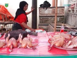 Harga Cabai Merah, Bawang Bombai, Daging Ayam dan Telur Turun