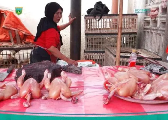 Harga Cabai Merah, Bawang Bombai, Daging Ayam dan Telur Turun