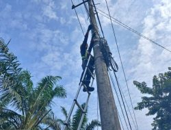 Jaga Layanan Komunikasi Tetap Stabil, PLN Icon Plus Sumbagteng Lakukan Pemeliharaan Rutin Fiber Optic di Wilayah Simalinyang Kampar Kiri, Riau