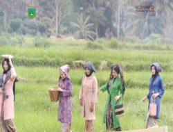 Desa Wisata Fair 2024, Ekor Lubuk Gelar Fashion Show Baju Saisuak
