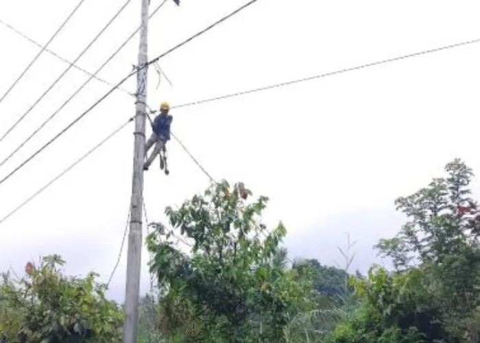 Jaga Kualitas Layanan Tetap Andal, PLN Icon Plus Sumbagteng Rutin Preventive Maintenance