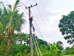 Jaga Stabilitas Jaringan Internet Fiber Optik, PLN Icon Plus Sumbagteng Lakukan Pemeliharaan di Daerah Kampar