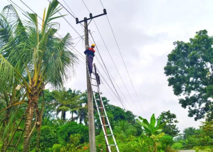 Jaga Stabilitas Jaringan Internet Fiber Optik, PLN Icon Plus Sumbagteng Lakukan Pemeliharaan di Daerah Kampar