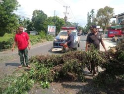 Pohon Tumbang di Depan Masjid Al Bayinnah Timpa Pengendara Motor dan Hambat Jalan