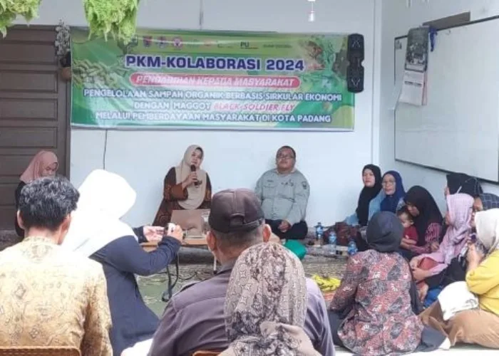 Kolaborasi Kampus dan Pemerintah, Kelola Sampah Organik dengan Maggot