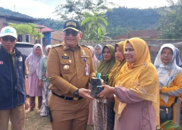 Jaga Ketahanan Pangan, Pemko Padang Salurkan Bantuan Sarana Prasarana KRPL dan Bibit Buah