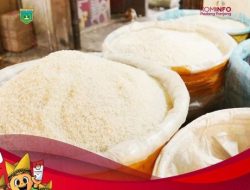 Semua Jenis Beras Kembali Turun Harga