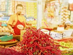 Harga Cabai Merah Turun Signifikan