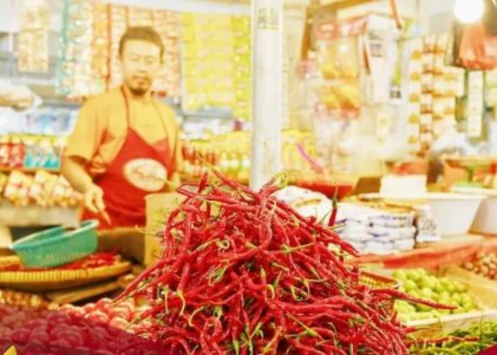Harga Cabai Merah Turun Signifikan