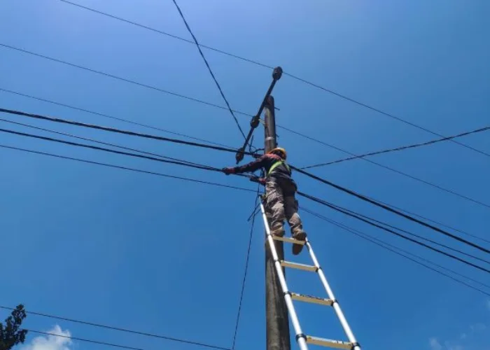 Tingkatkan Kualitas Jaringan Fiber Optic, PLN Icon Plus Sumbagteng Lakukan Preventive Maintenance di Daerah Sungai Pagar