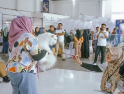68 Kucing Ikut Kontes Kucing Sehat Sumbar di Papa Fest 2024
