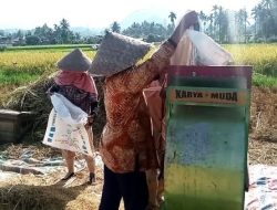 Pemkab Tanah Datar Optimis Produksi Padi Meningkat Tahun 2025