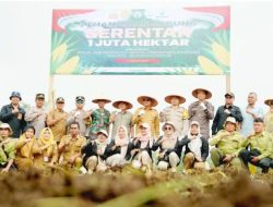 Kerja Sama Polri, Pemkab Solsel Bakal Tanam Seribu Hektar Jagung