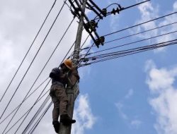 Minimalkan Gangguan, PLN Icon Plus Sumbagteng Lakukan Pemeliharaan Jaringan Secara Berkala di Solok