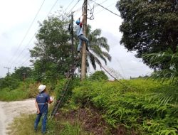 Dukung Digitalisasi Industri, PLN Icon Plus Sediakan Jaringan Andal untuk PT Inti Indosawit