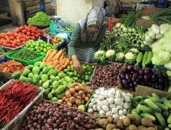 Pasokan Bertambah, Tujuh Komoditas Pangan Turun Harga
