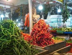Tiga Komoditi Cabai Turun Harga Signifikan