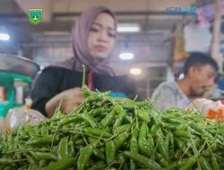 Harga Cabai Rawit Turun Signifikan