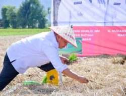 Perkuat Ketahanan Pangan, Pemkab Agam Canangkan Program Sawah Pokok Murah
