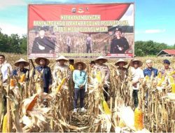 Satbrimob Polda Sumbar Panen Jagung di Pasbar, Pemda Apresiasi Dukungan Ketahanan Pangan
