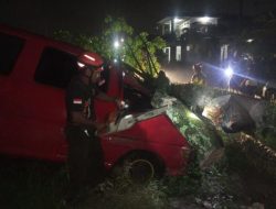 BPBD Kota Padang Sigap Tanggapi Laporan Pohon Tumbang di Kelurahan Padang Besi