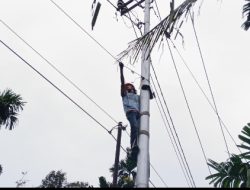 Antisipasi Cuaca Ekstrem, PLN Icon Plus Lakukan Pemeliharaan Jaringan Fiber Optik di Jalur Bungus-Painan