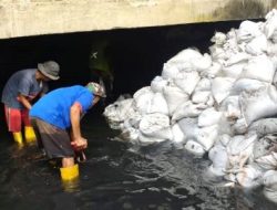 Pemko Padang Bergerak, Drainase Dikeruk, Genangan Menyurut