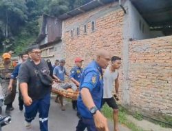 Tim SAR Gabungan Berhasil Evakuasi Korban Terjepit Pohon di Gunung Pangilun