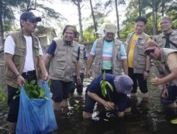 Cegah Abrasi Pantai Sasak Ranah Pasisie, Mahasiswa Pascasarjana UNP Tanam Seribu Pohon Pelindung