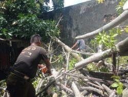 Rumah Warga Alang Laweh Rusak Ketimpa Pohon Kedondong