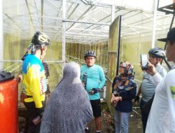 Gowes!! Bupati JKA Kembali Telusuri Nagari, Dialog dengan Petani Milenial