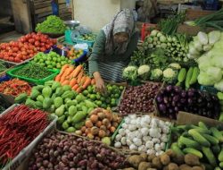 Tujuh Komoditas Pangan Turun Harga, Seledri dan Cabai Merah Turun Signifikan
