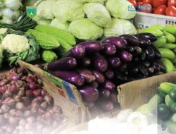 Pasokan Cukup, Harga Bawang Merah dan Terong Turun Signifikan