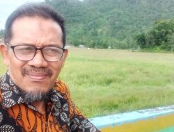 Benalu di Lembaga Pendidikan Kita