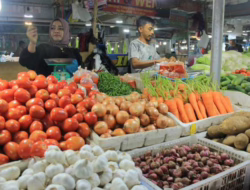 Bawang Bombai dan Bawang Putih Turun Harga Bersama Tujuh Komoditas Lainnya