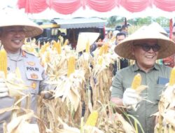 Dipimpin Presiden Prabowo, Bupati Yulianto Ikuti Panen Raya Jagung Serentak Kuartal II di Sukomananti