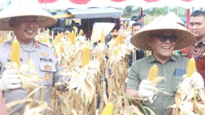 Dipimpin Presiden Prabowo, Bupati Yulianto Ikuti Panen Raya Jagung Serentak Kuartal II di Sukomananti